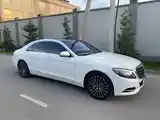 Mercedes-Benz S class, 2014-8