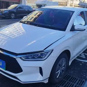 BYD E2, 2019