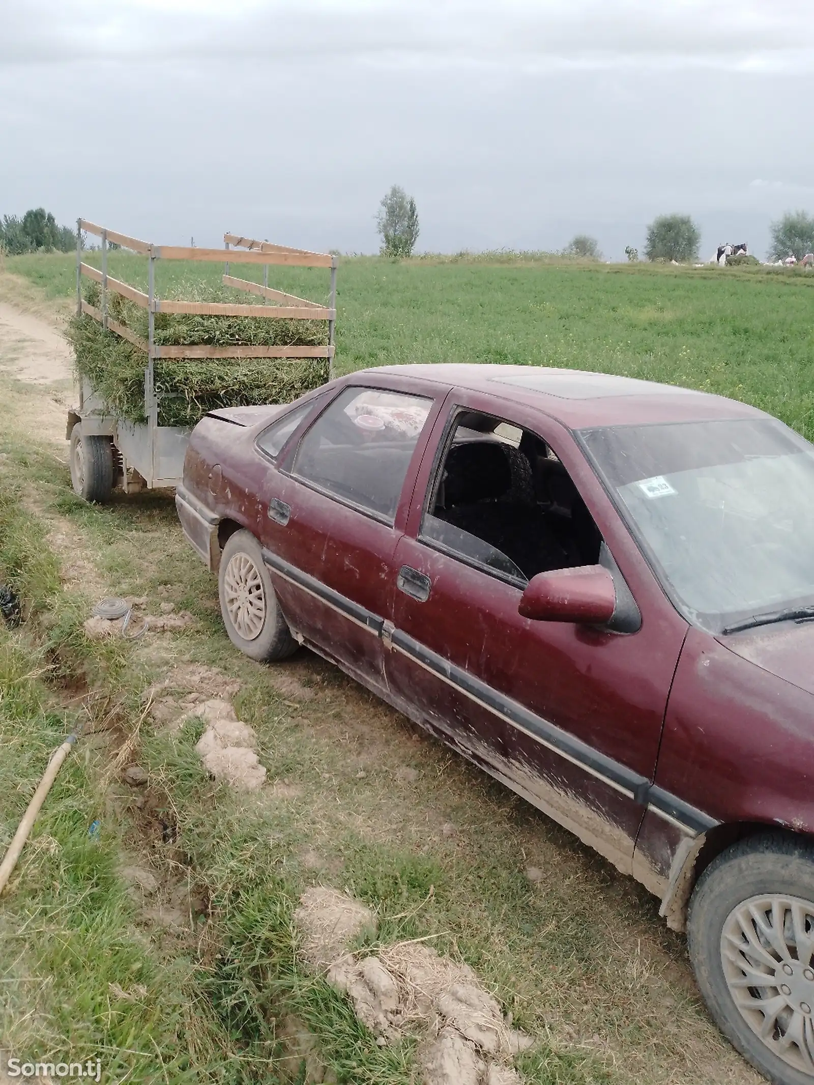 Opel Vectra A, 1993-1