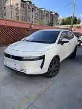 Легковые автомобили Другие марки, 2019 на заказ-6