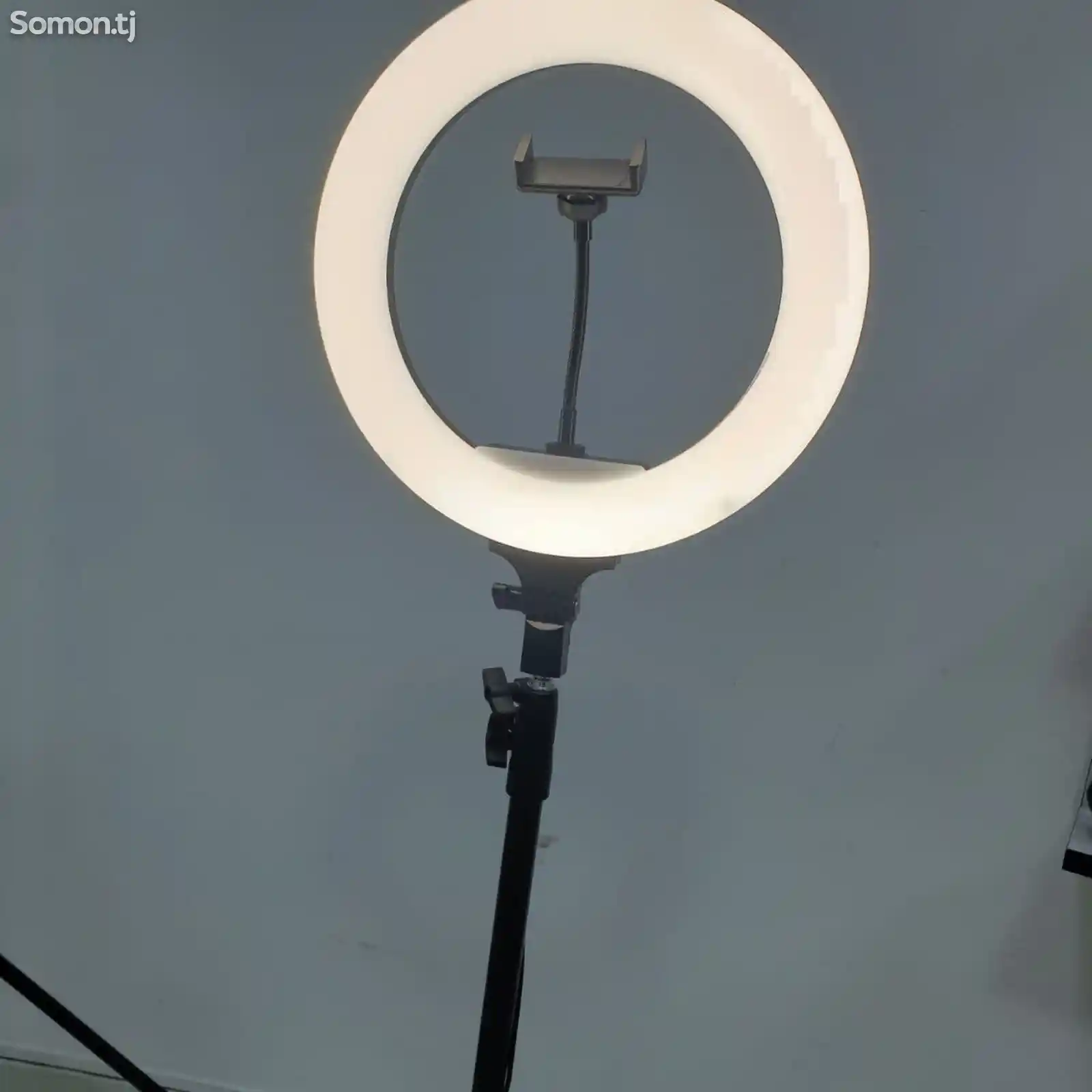 Кольцевая лампа Ring Supplementary Lamp Dimmable-2