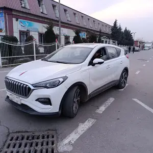 Hongqi E-HS3, 2019