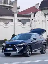 Lexus RX series, 2019-12