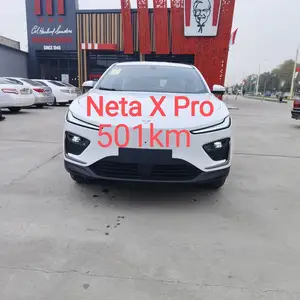 Neta X, 2024