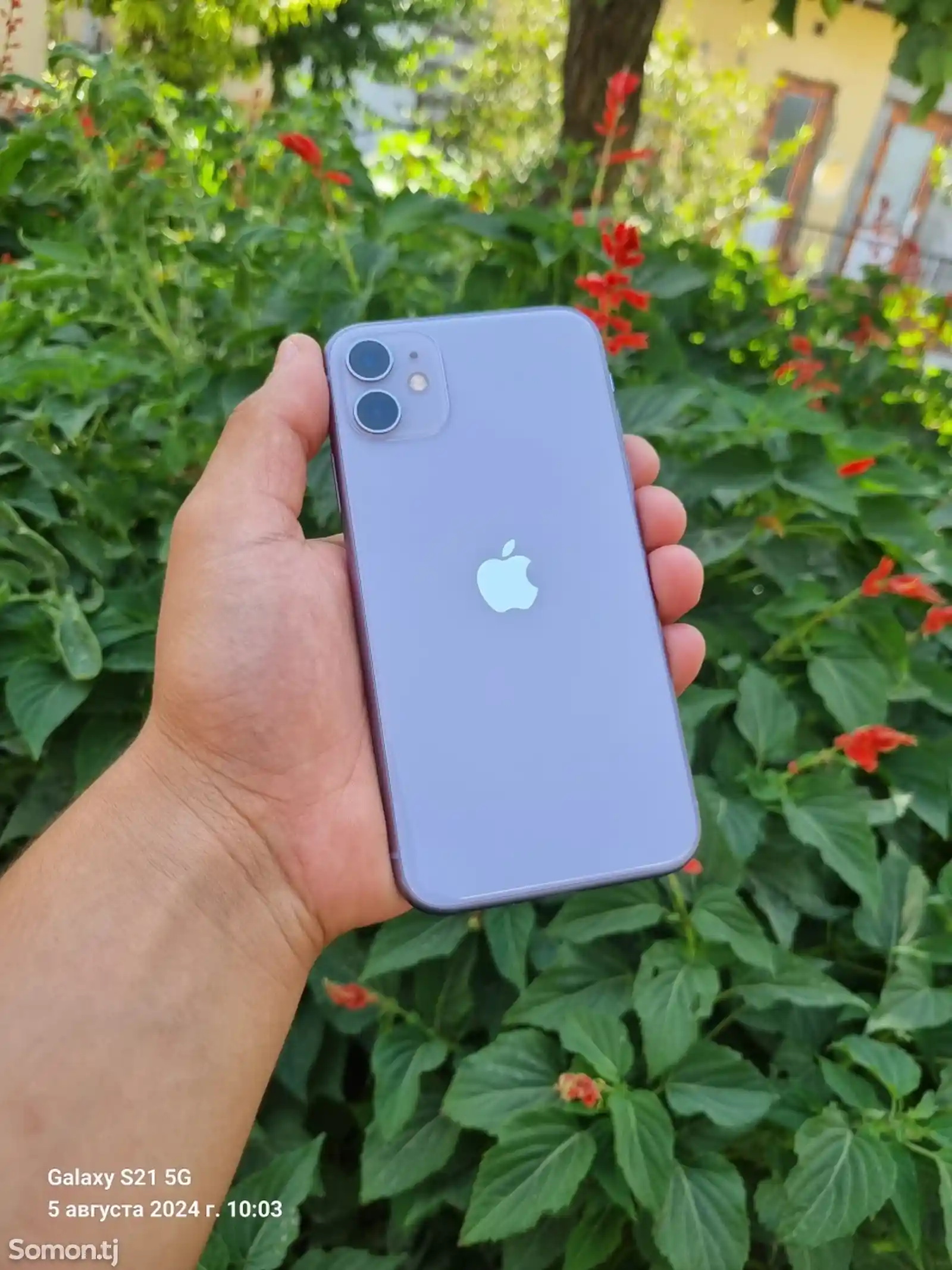 Apple iPhone 11, 128 gb, Purple-3