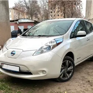 Nissan Leaf, 2013