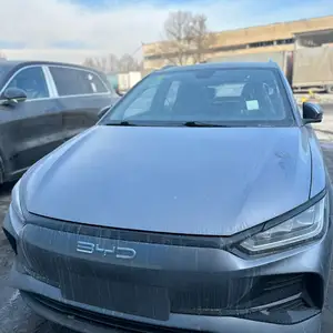 BYD E2, 2024