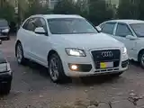 Audi Q5, 2010-2