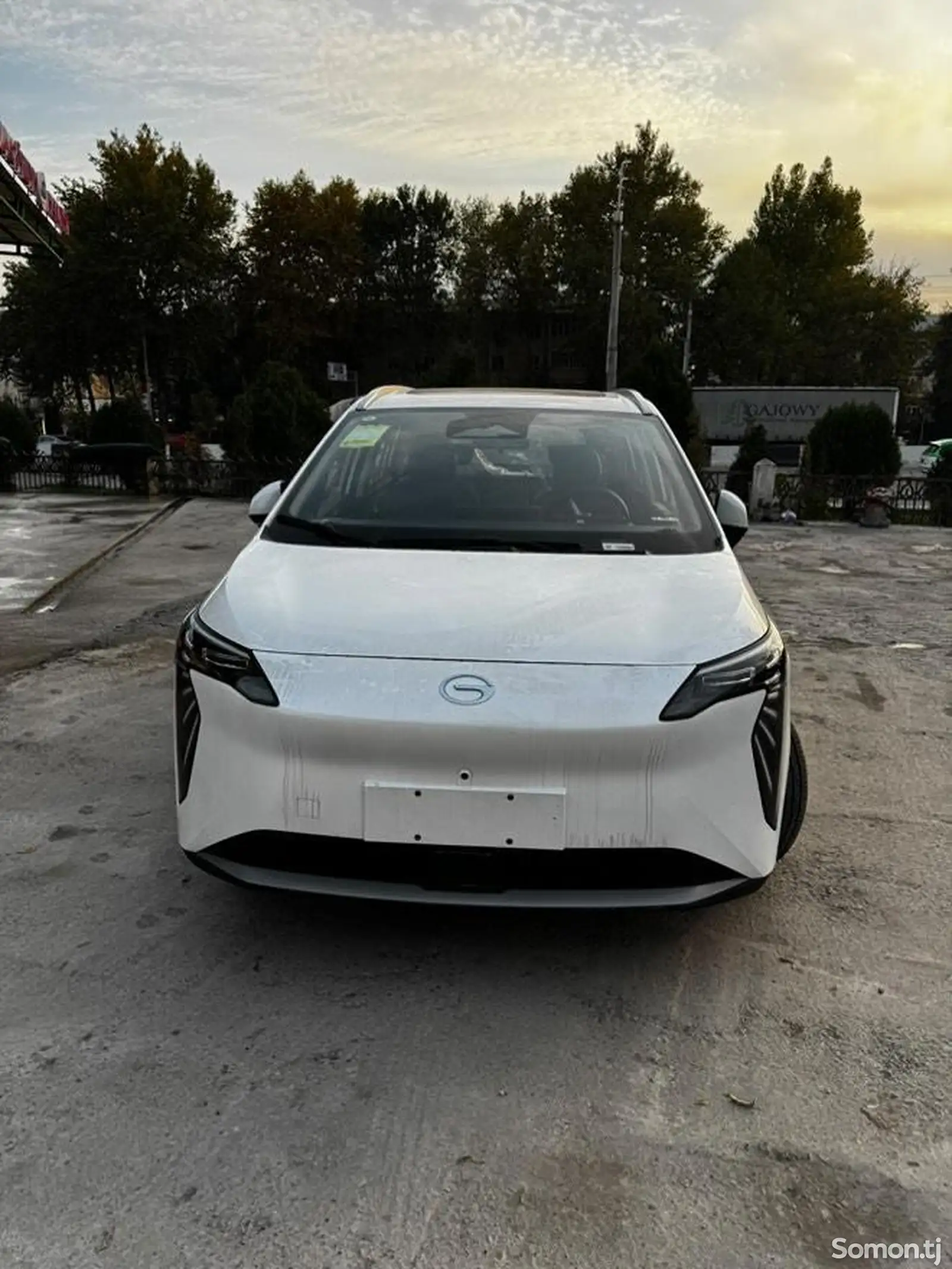 BYD Другие модели, 2024-1