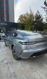 BYD Другие модели, 2024-3