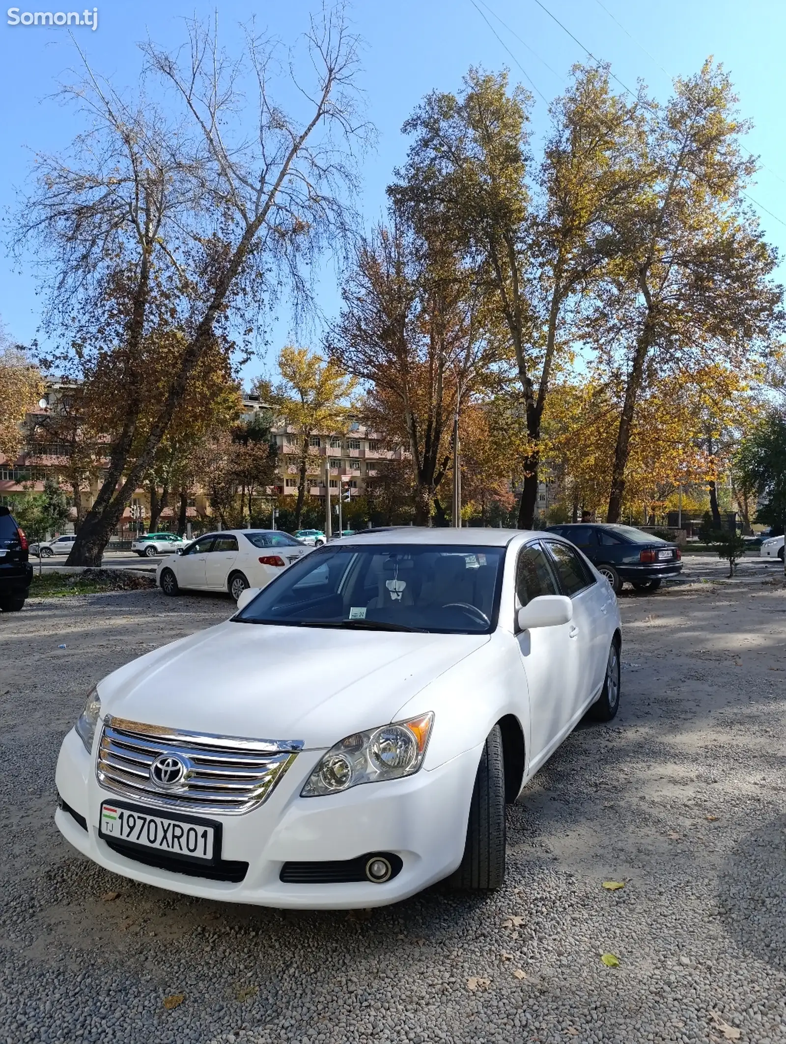 Toyota Avalon, 2008-1