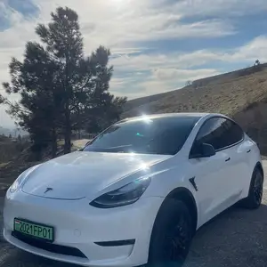 Tesla Model Y, 2021