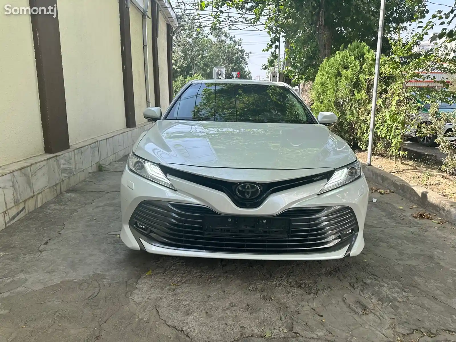 Toyota Camry, 2019-1