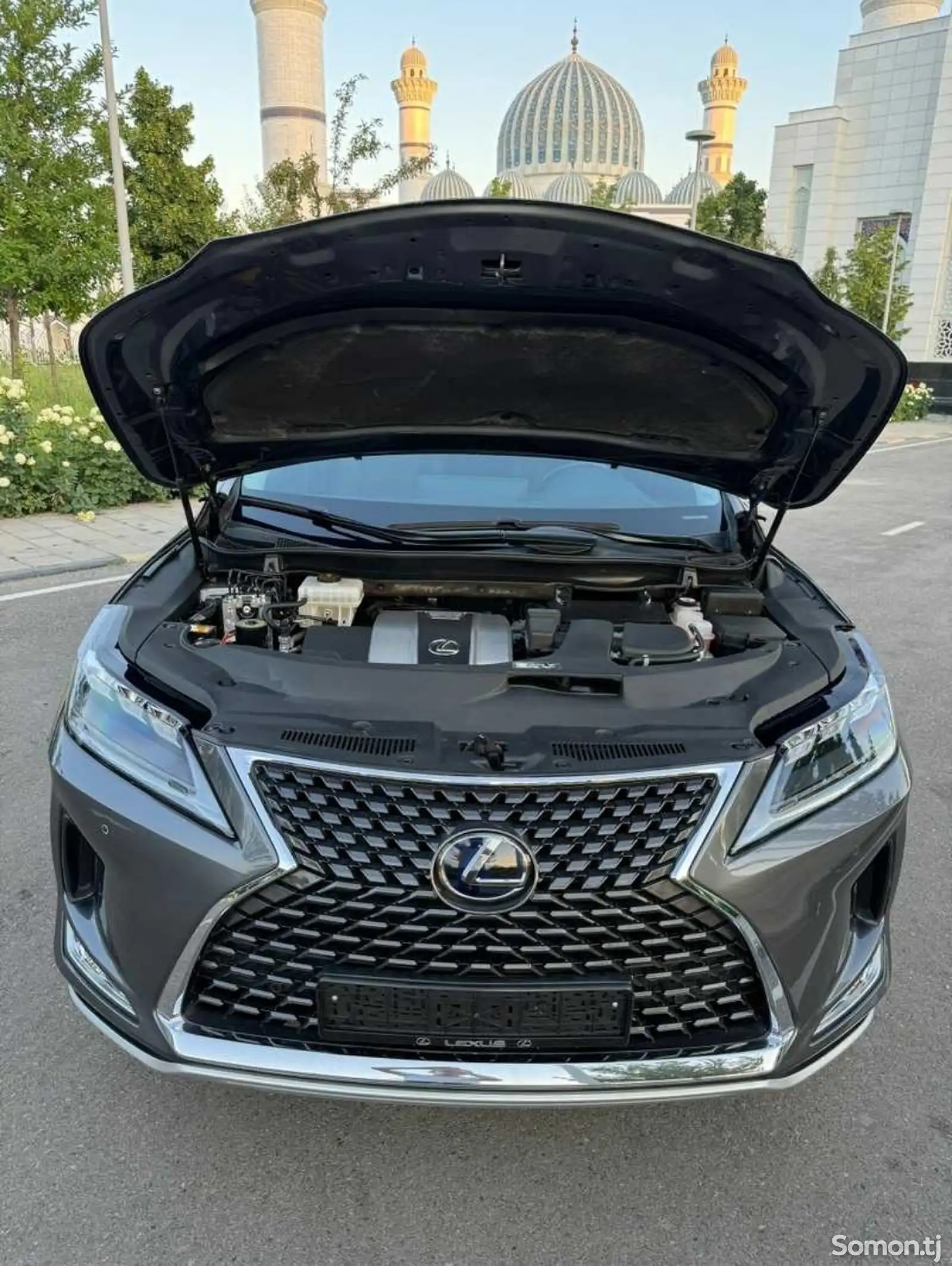 Защитник Lexus rx 2016-2021-2