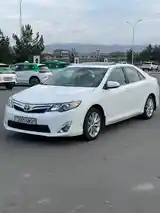 Toyota Camry, 2011-7