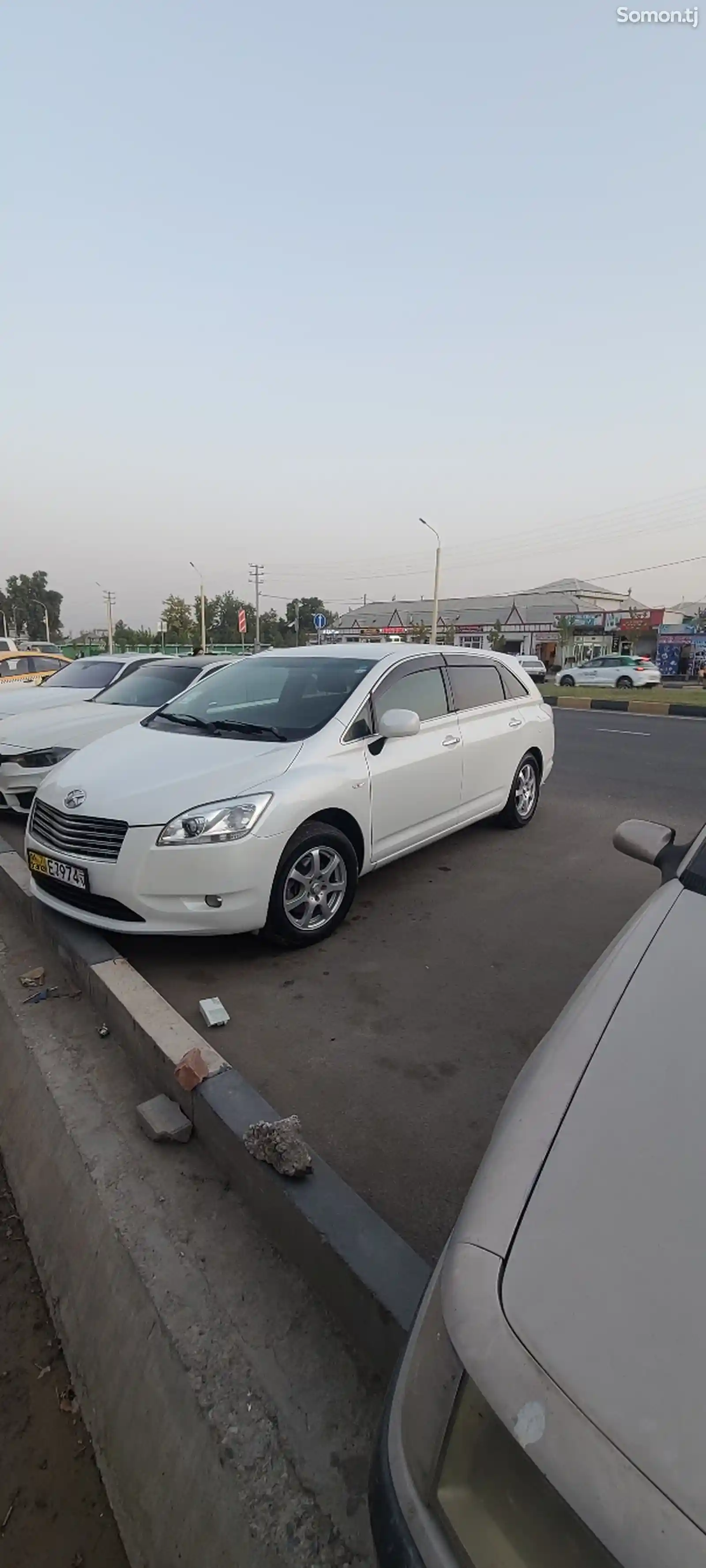 Toyota Mark X ZiO, 2007-2