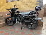 Мотоцикл GLX-SUZUKI - 150cc куба-8