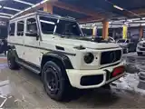 Mercedes-Benz G class, 2017-5