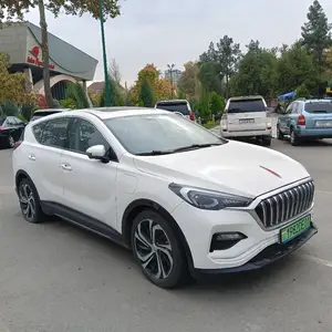 Hongqi E-HS3, 2019