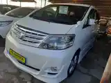 Toyota Alphard, 2008-3