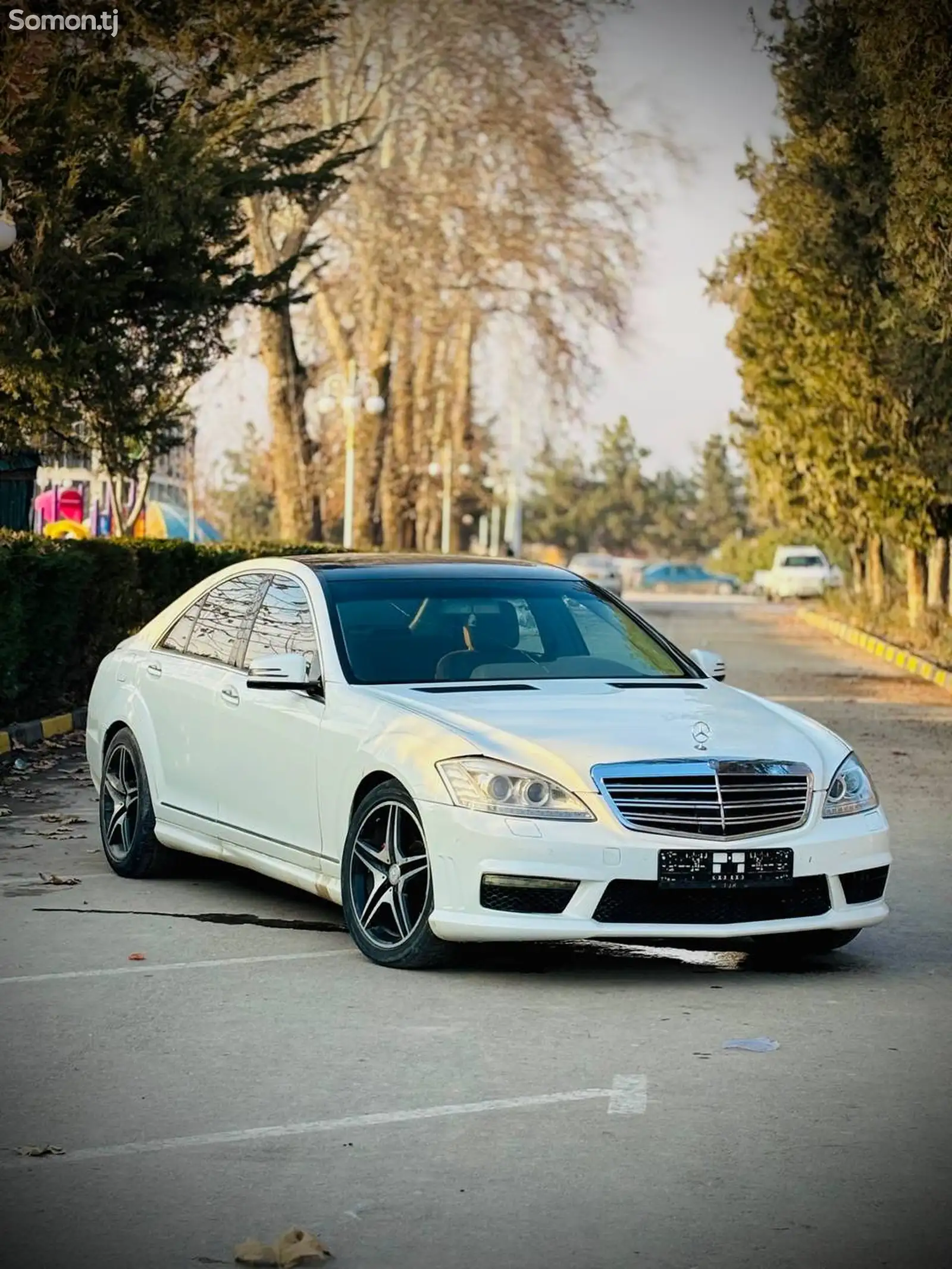 Mercedes-Benz S class, 2008-1