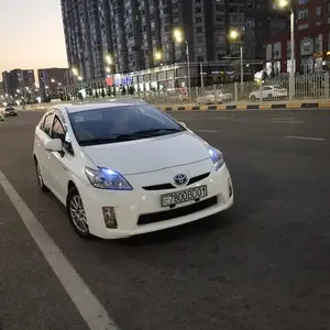 Toyota Prius, 2011