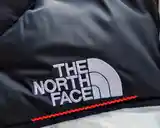 Зимняя куртка-пуховик The North Face-3