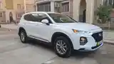 Hyundai Santa Fe, 2019-5