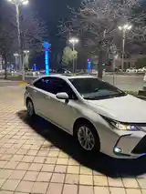 Toyota Corolla, 2022-6