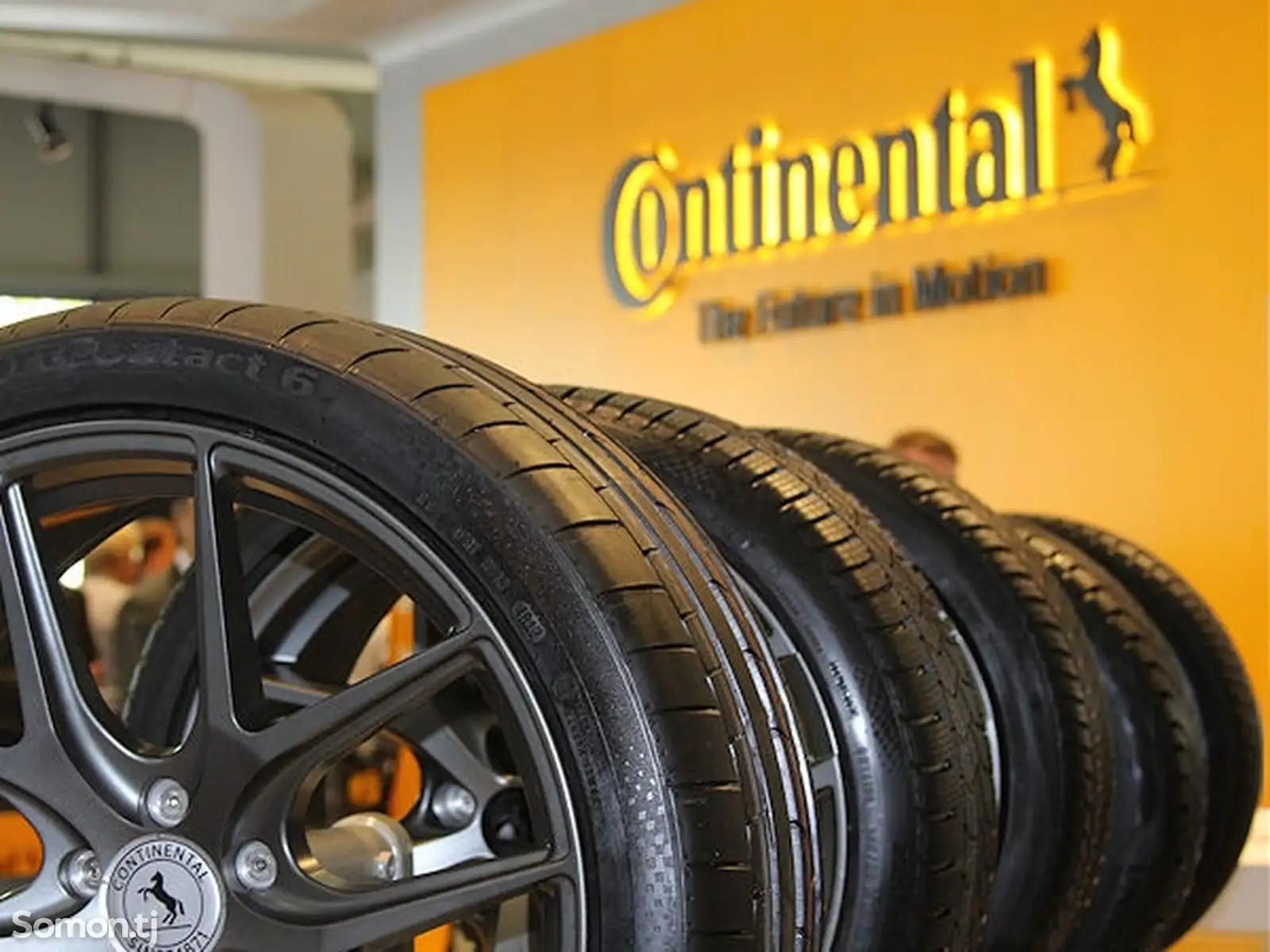 Continental Sport Шины R21