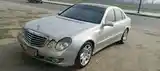 Mercedes-Benz E class, 2007-6