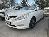 Hyundai Sonata, 2010-2