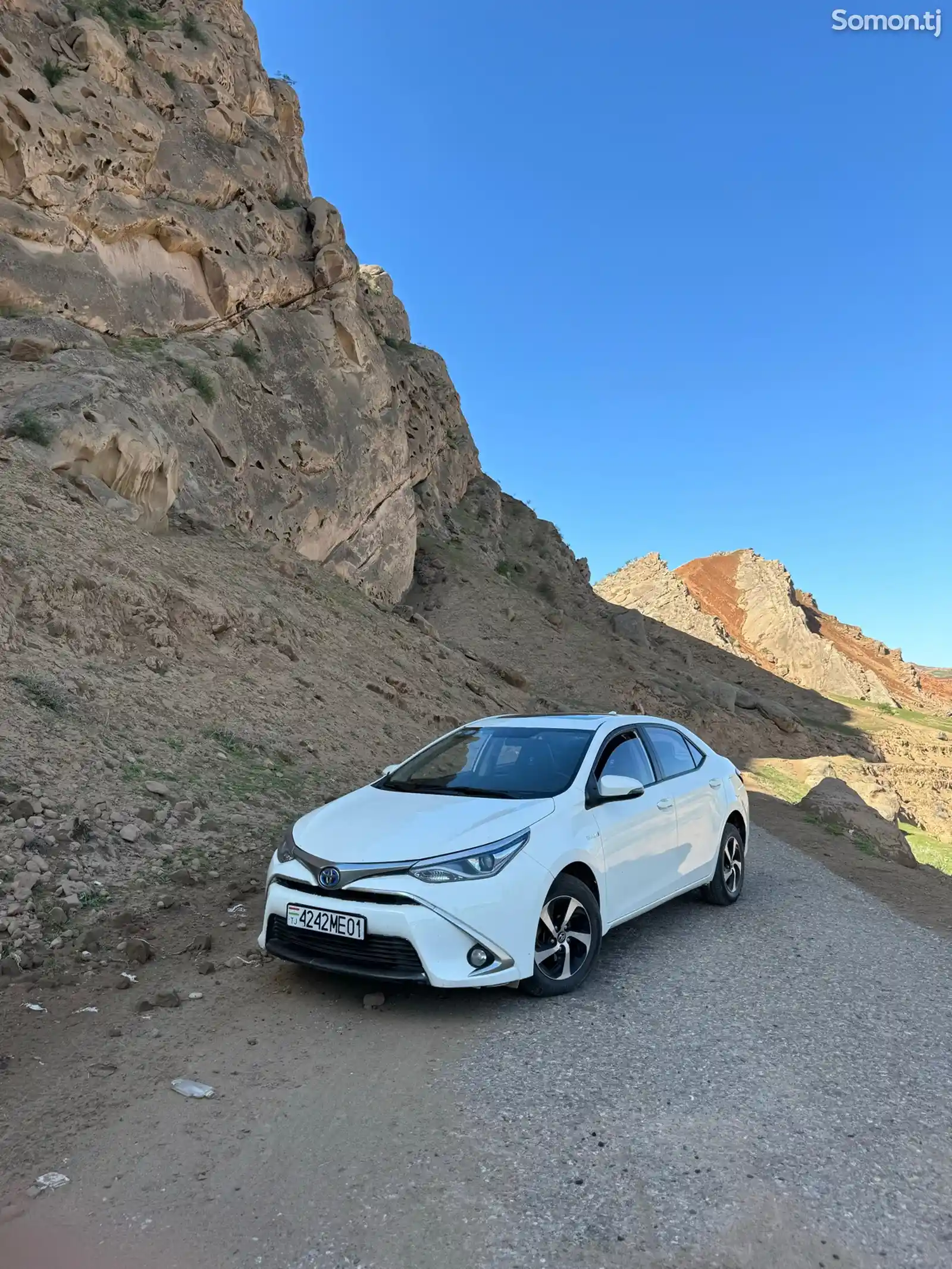 Toyota Levin, 2019-3