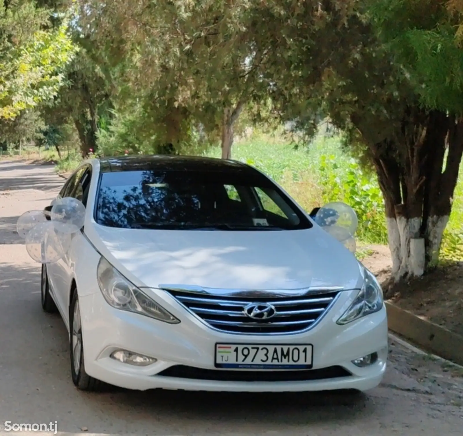 Hyundai Sonata, 2010-1