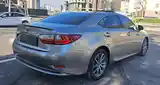 Lexus ES series, 2018-6