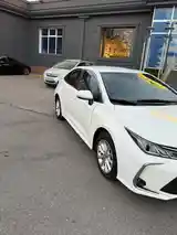 Toyota Corolla XII, 2019-3