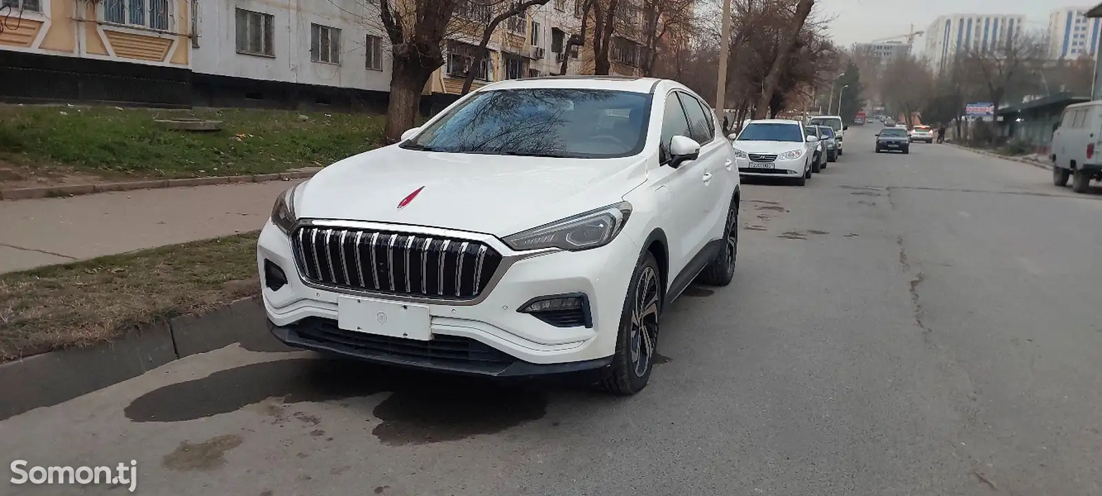 Hongqi E-HS3, 2019-1