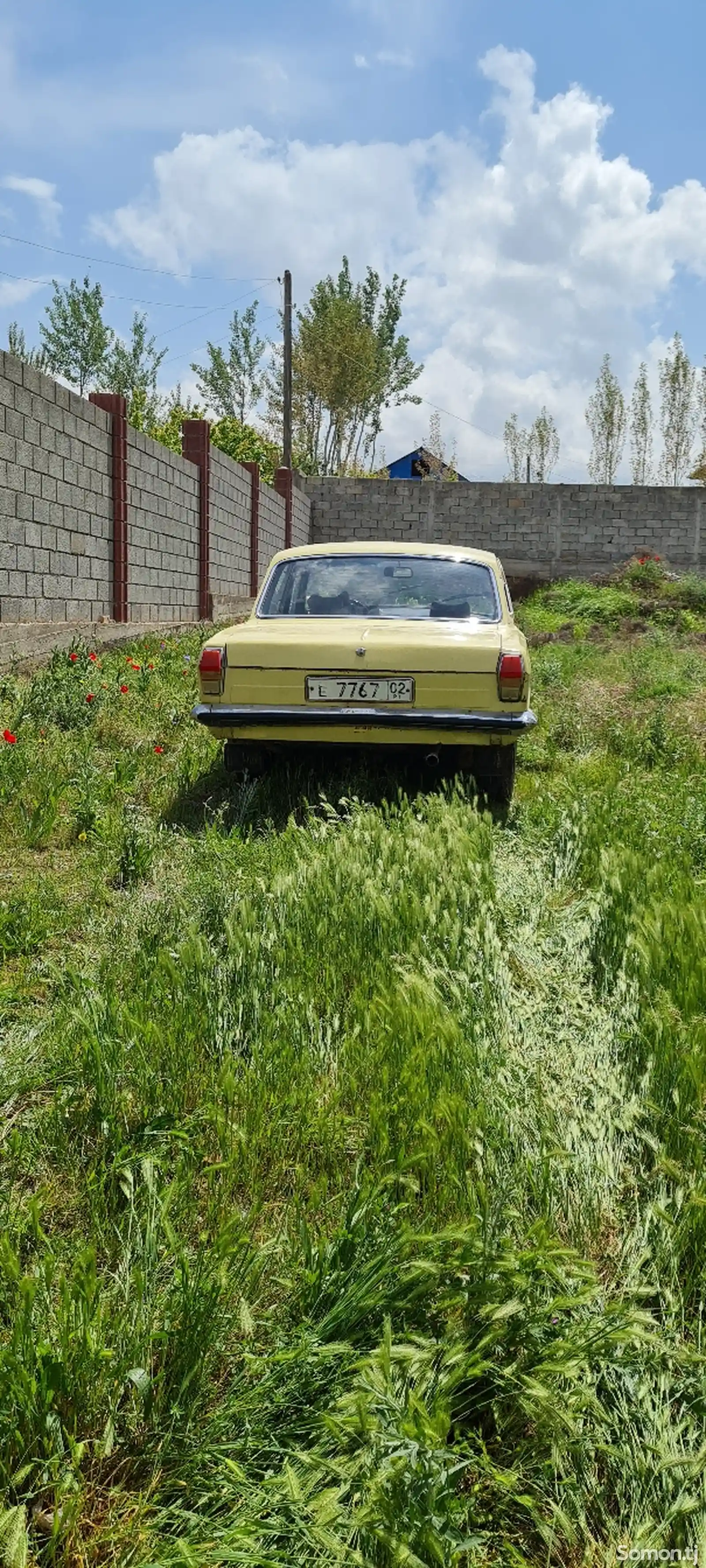 ГАЗ 24011, 1986-3