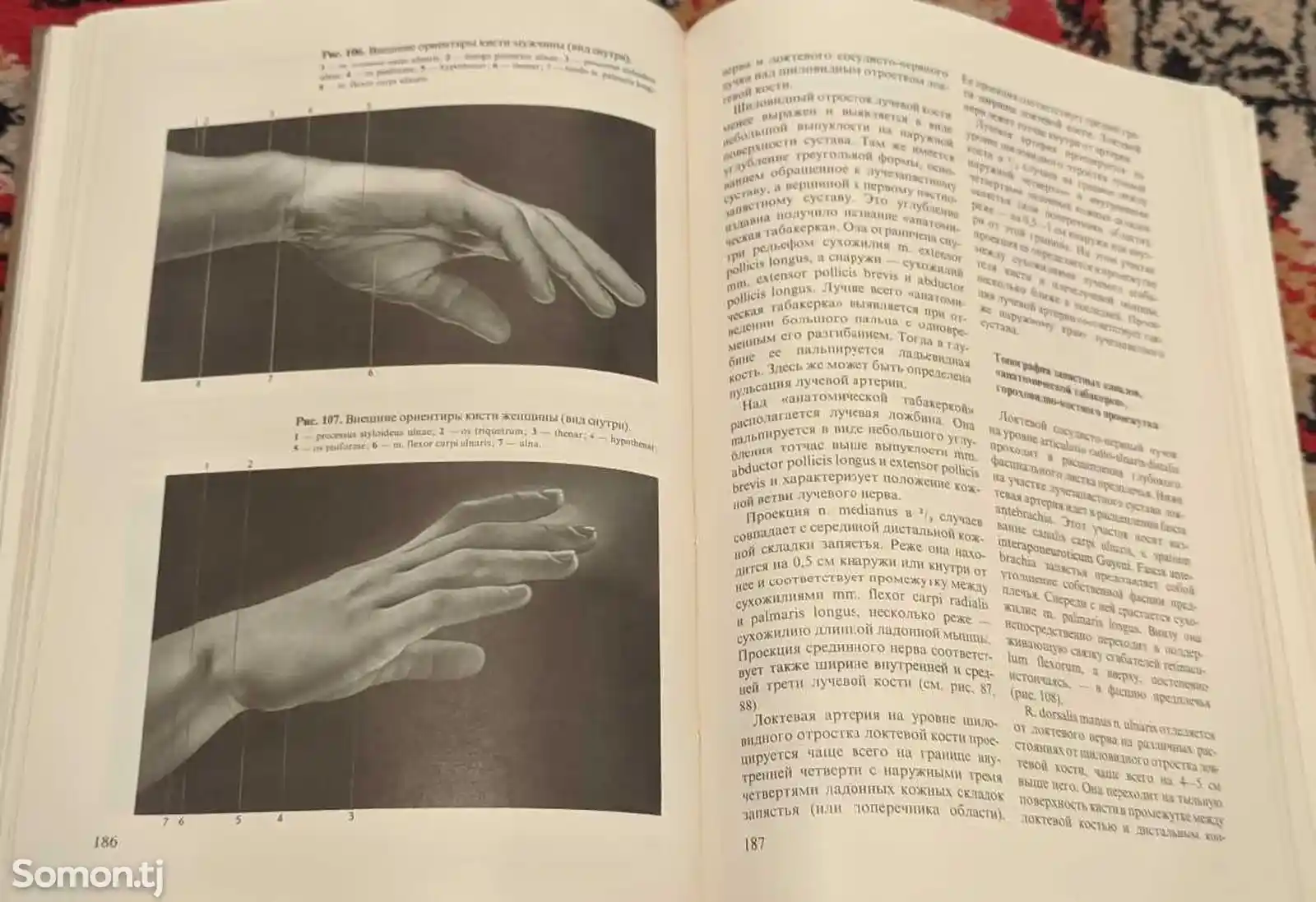 Книга Хирургическая анатомия конечностей человека-5