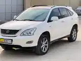 Lexus RX series, 2009-2