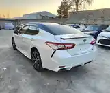 Toyota Camry, 2019-6