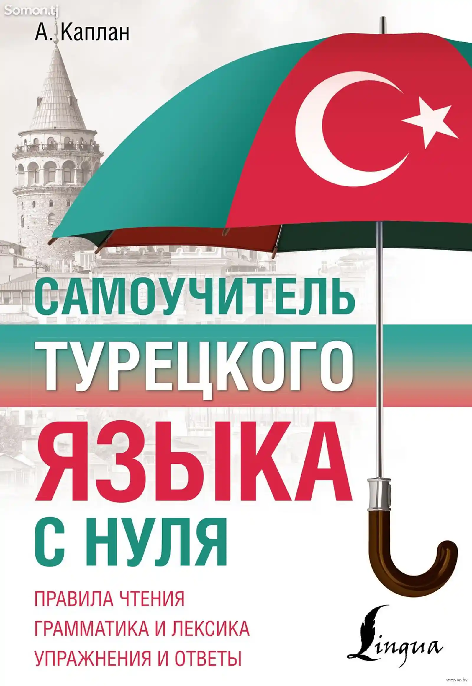 Книга Самоучитель турецкого языка с нуля-1