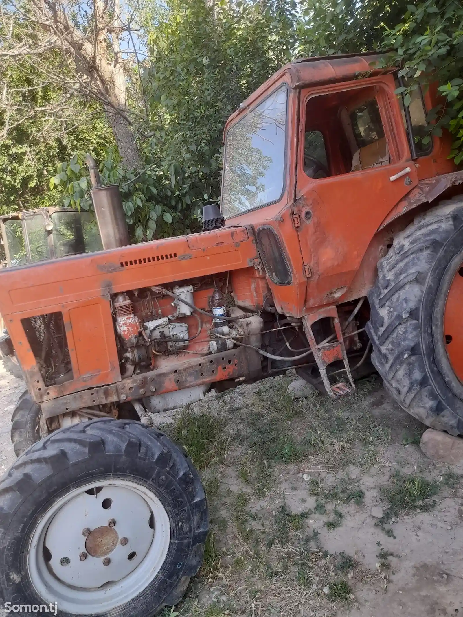 Трактор МТЗ 82 1991-6