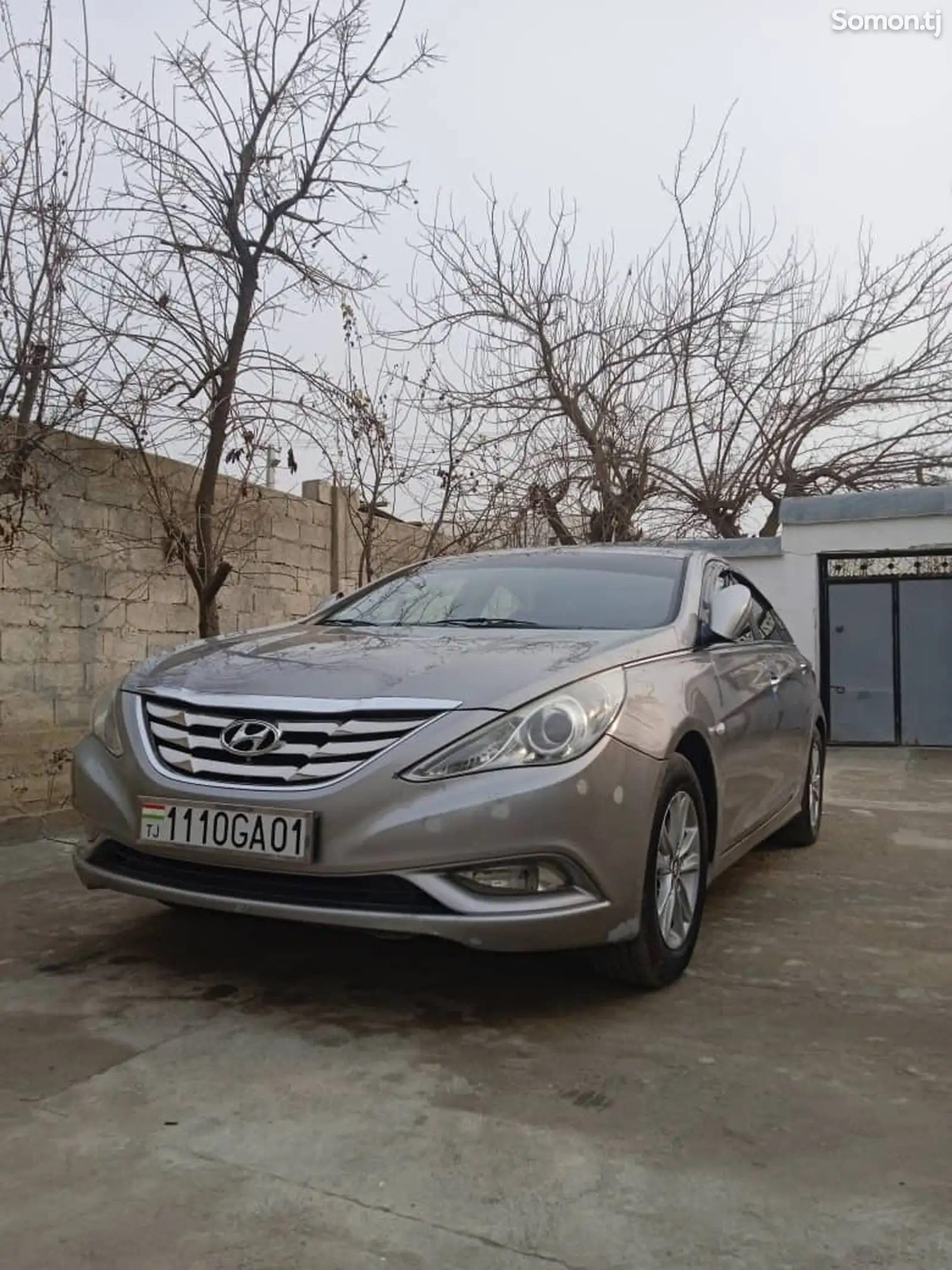 Hyundai Sonata, 2010-1