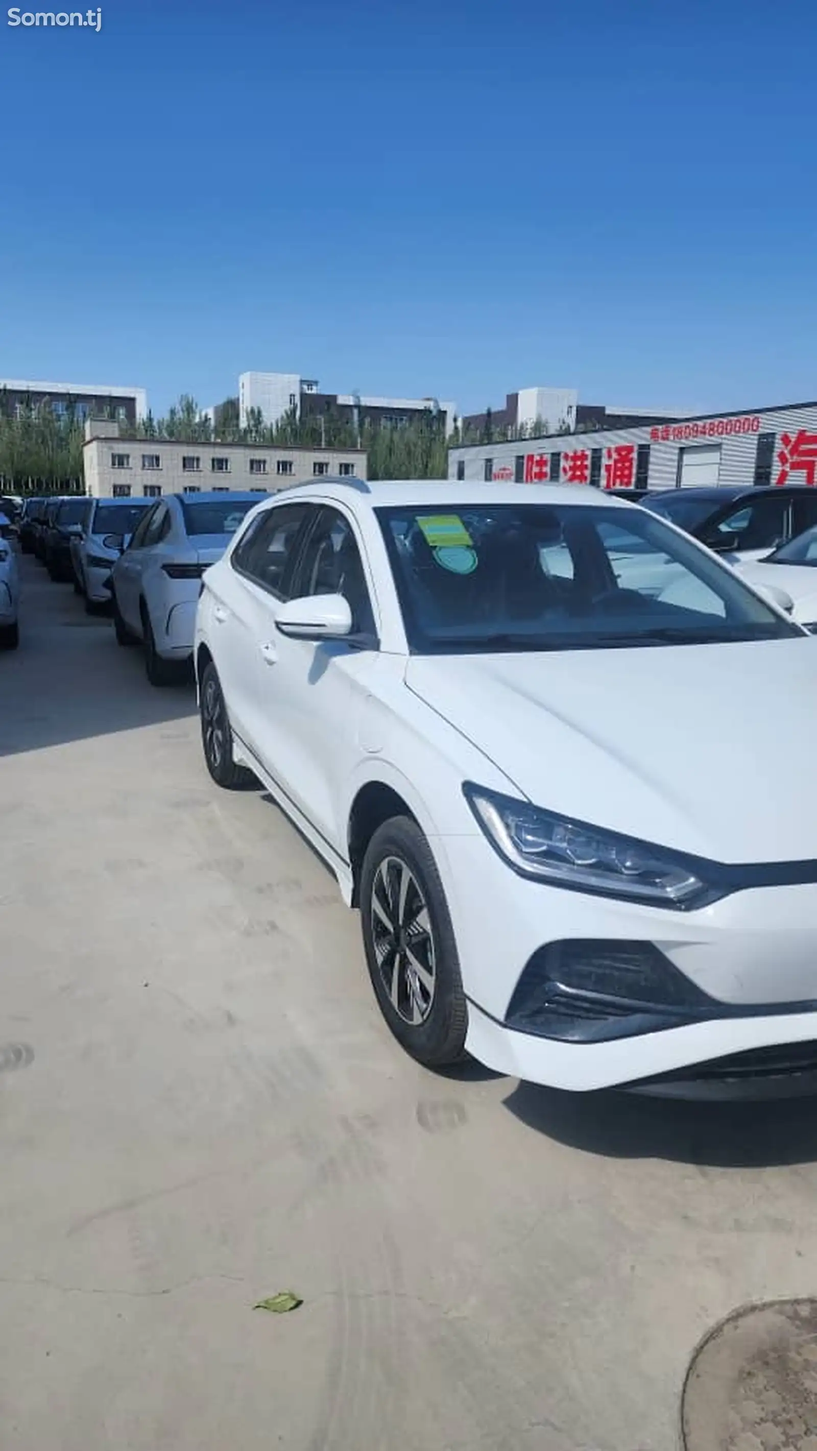 BYD E2, 2024-1