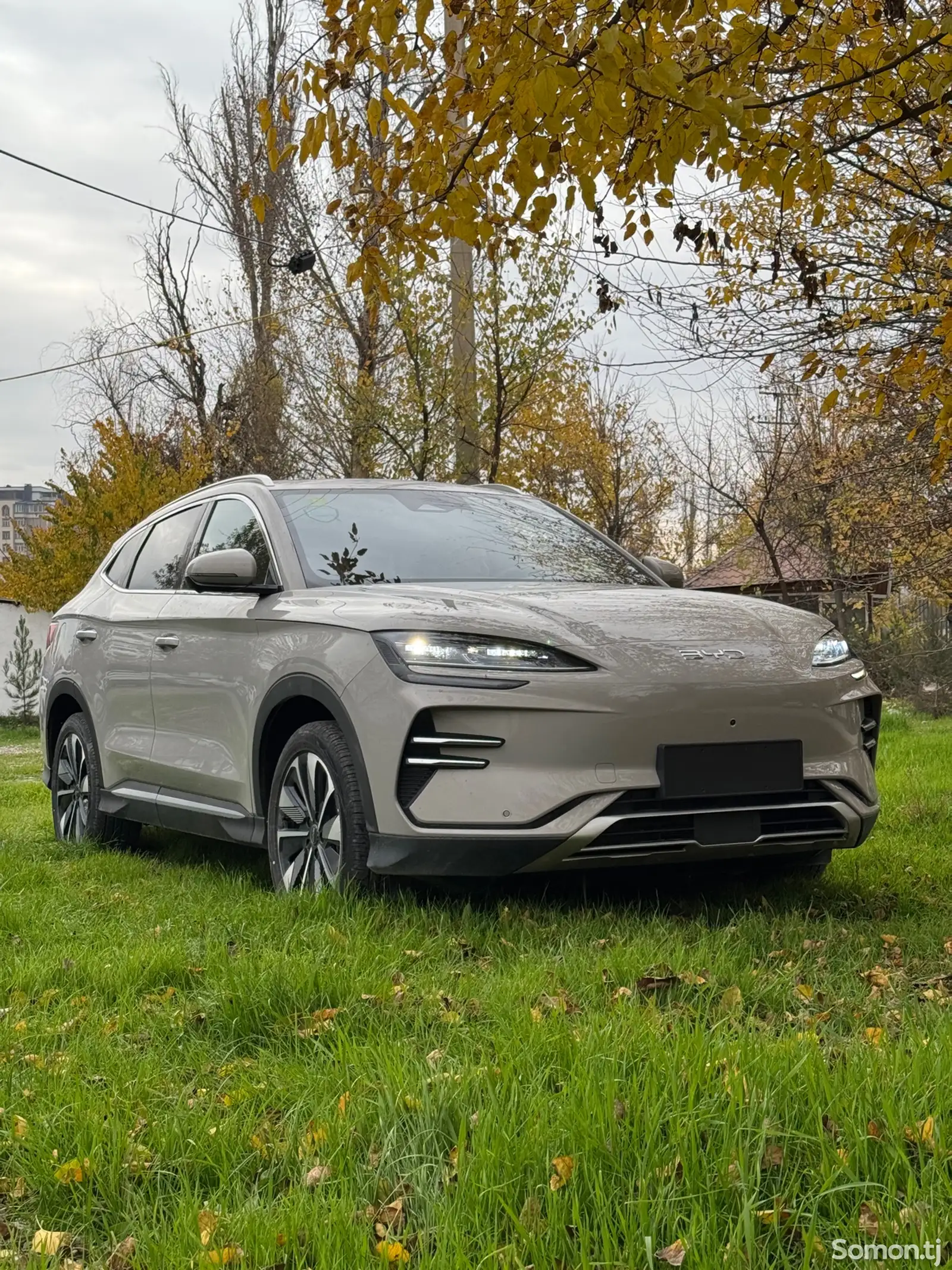 BYD Song Plus Flagship, 2025-1