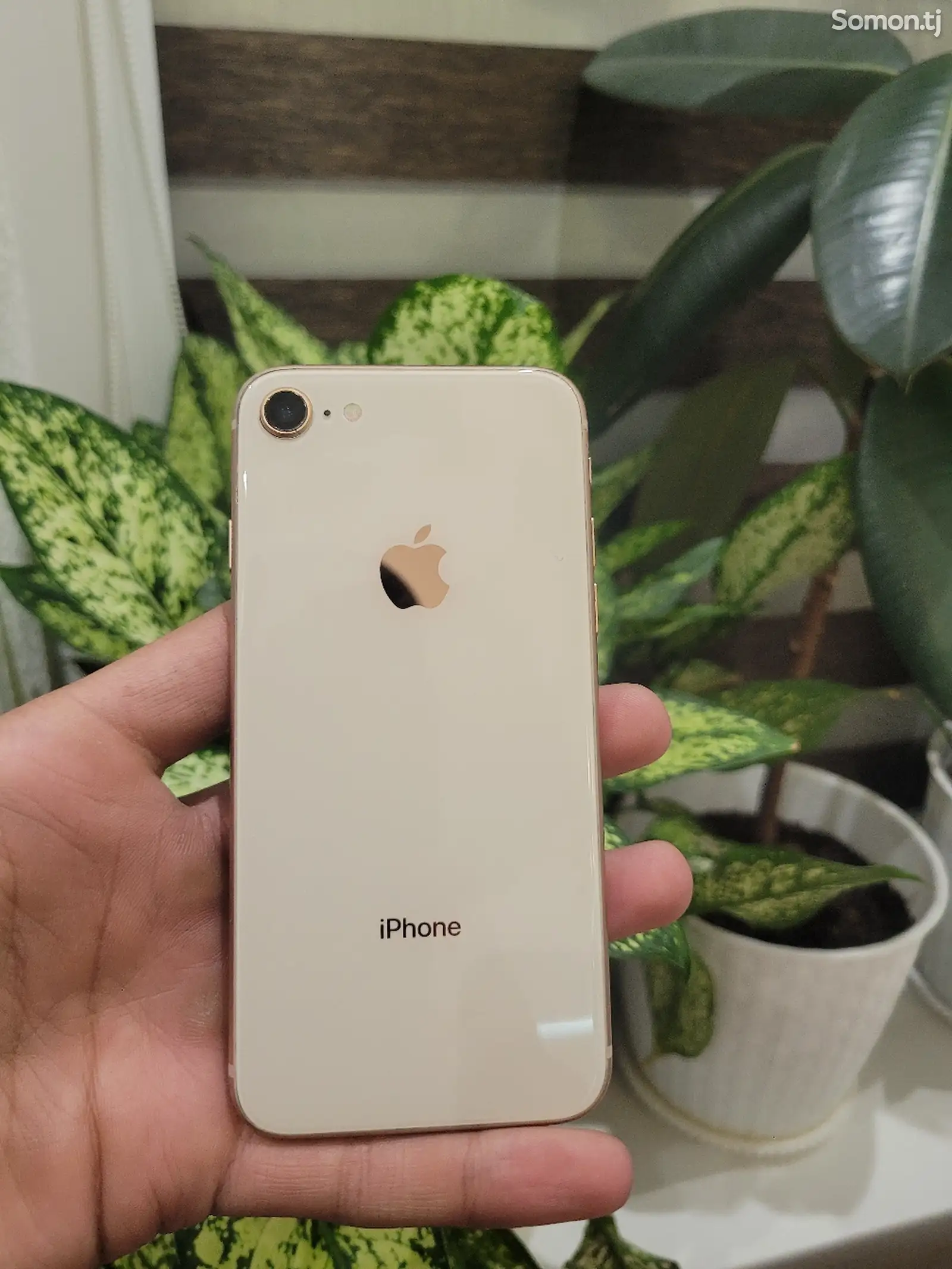 Apple iPhone 8, 64 gb, Gold-1