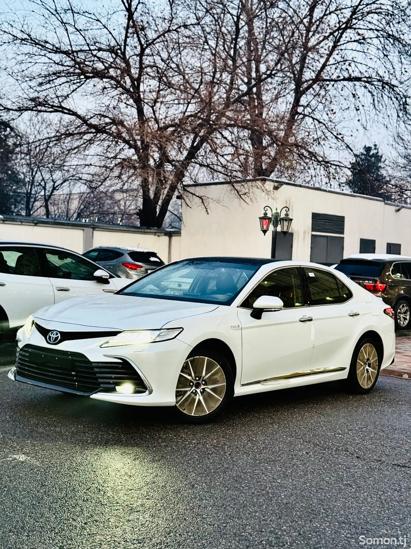 Toyota Camry, 2024-1