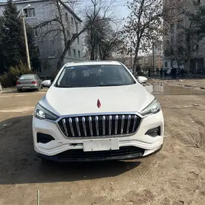 Hongqi E-HS3, 2019