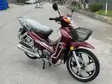 Утка GLX-SUZUKI-125cc куба-4